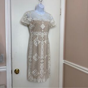 knee length dresses for ladies Stripe Shirt Dress With Lace  BCBGMAXAZRIA